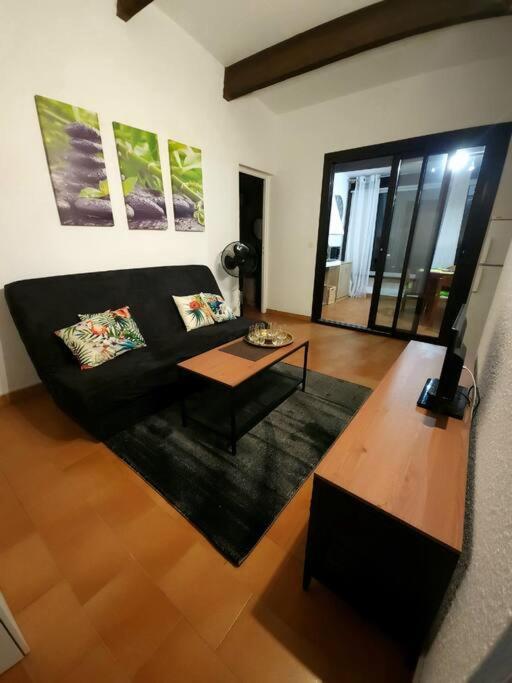 A 8 Mn A Pied Des Plages Appartement Avec Piscine Et Tennis Argelès-sur-Mer Exterior foto